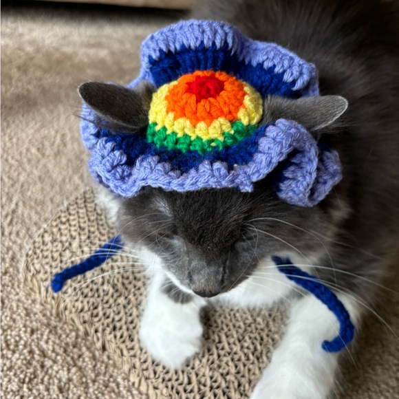 HANDMADE cat bonet bucket hat for cats cat accessories - Picture 10 of 12